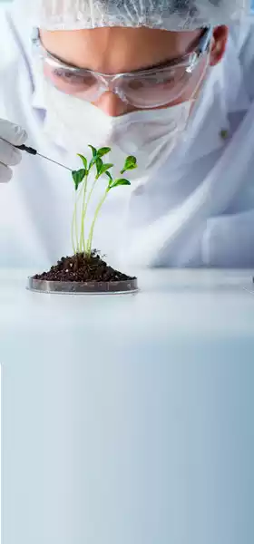 Ocuprime.com results